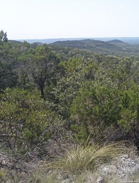 Land, Pipe Creek, TX
