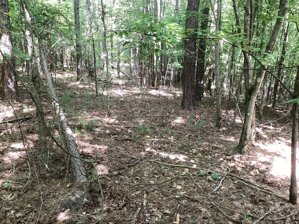 Picture 17