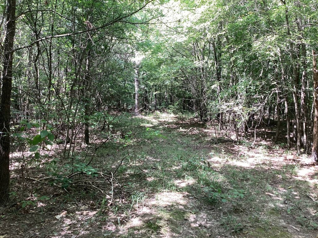Picture 21