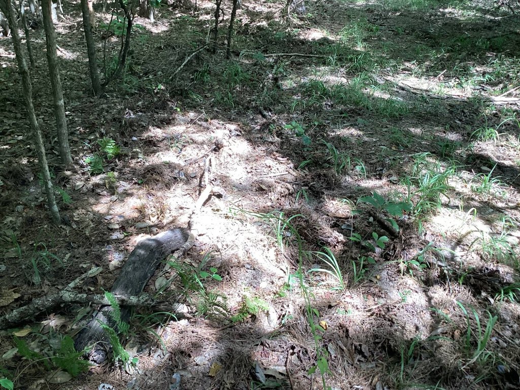 Picture 12