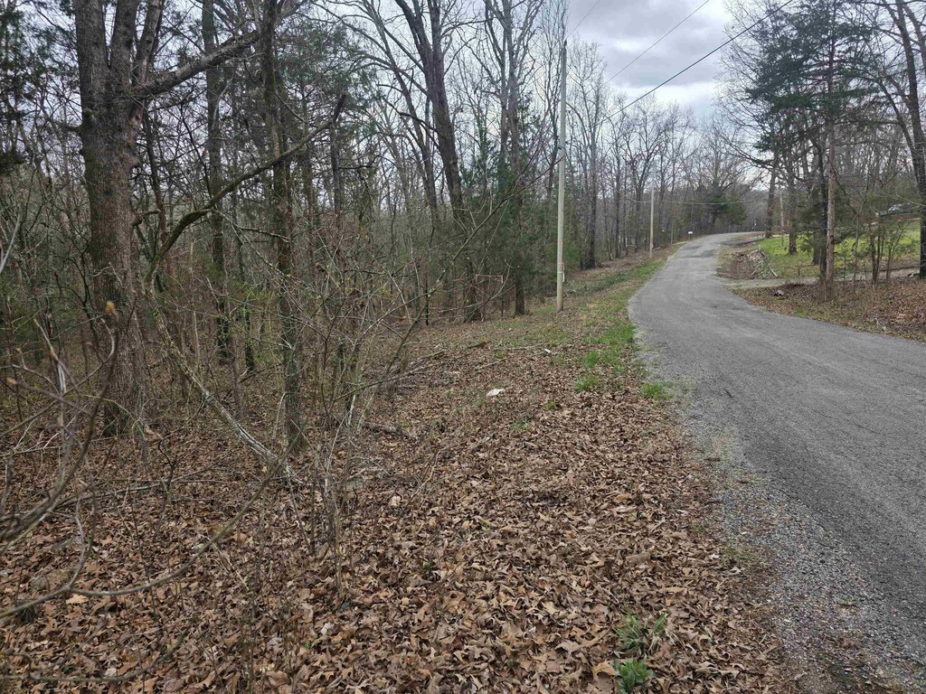Picture 2