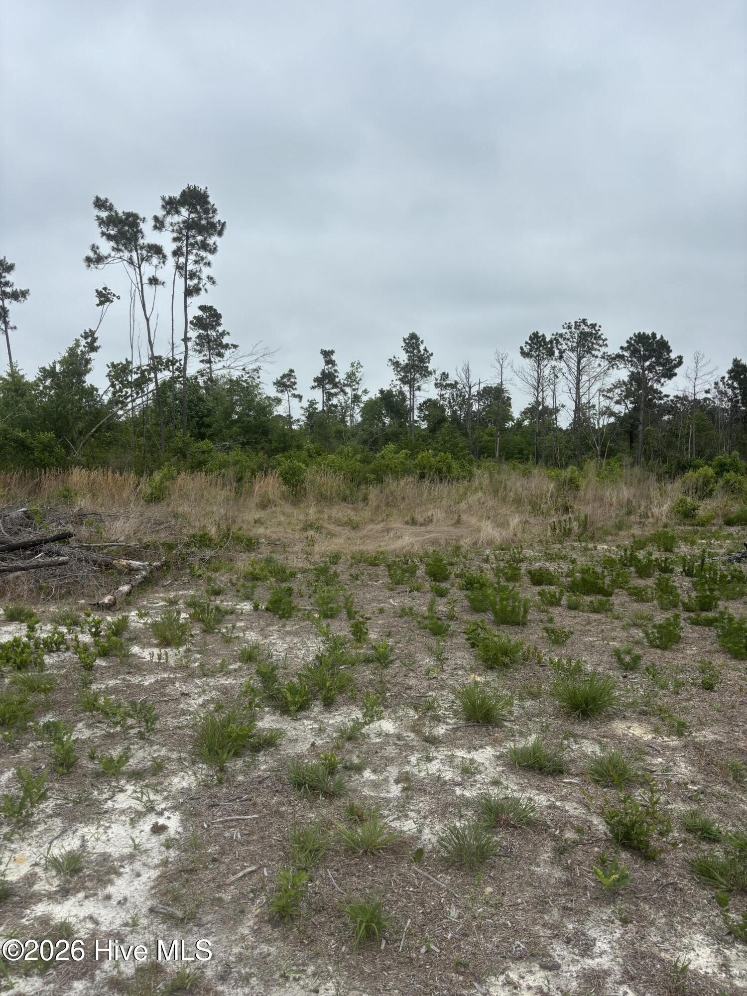 Residential Land in Clinton, NC