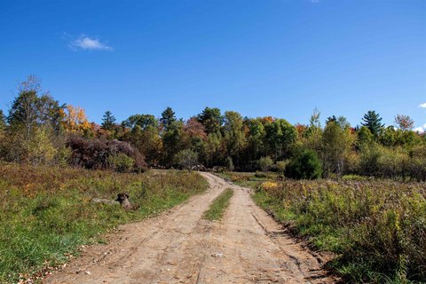 55 Acres of Vermont Land
