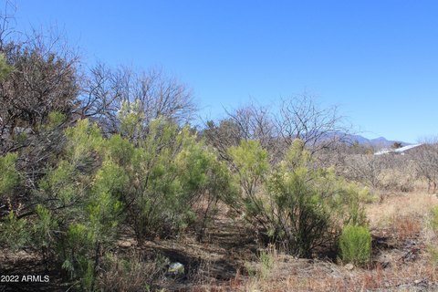 Sierra Vista Half Acre Lot