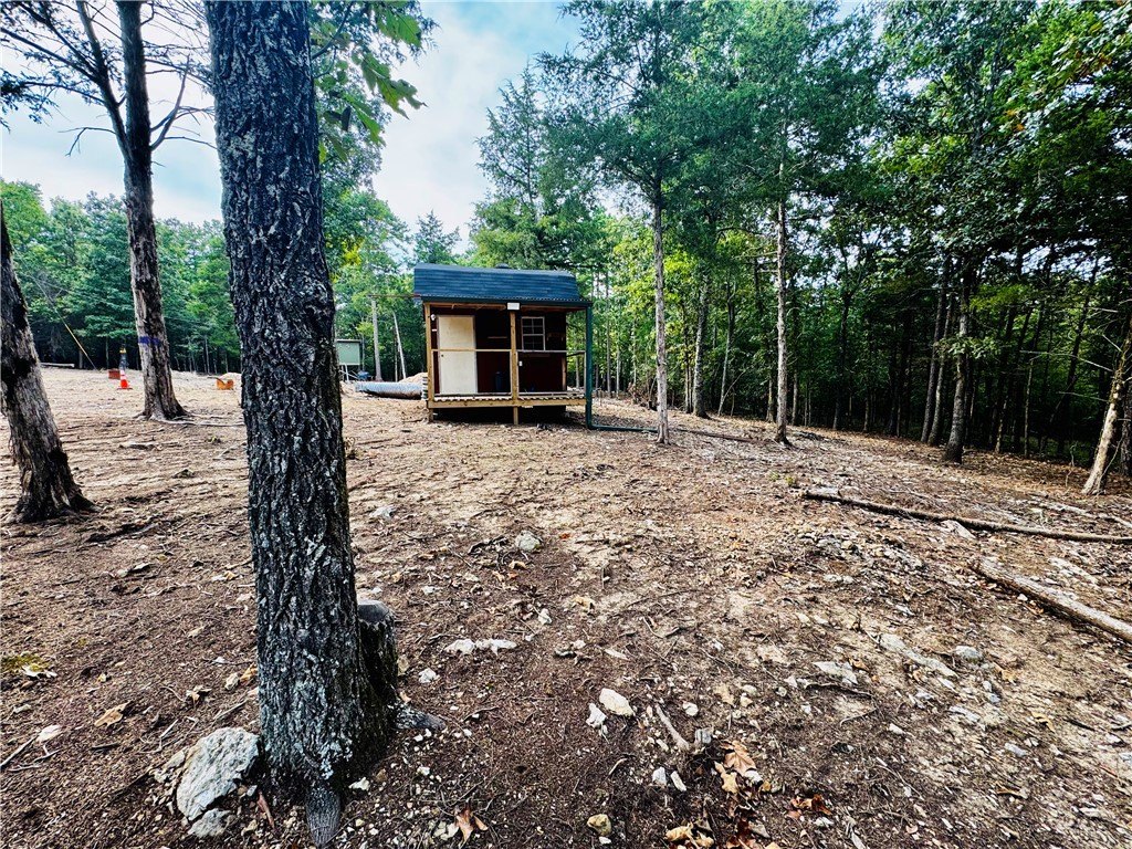Picture 6