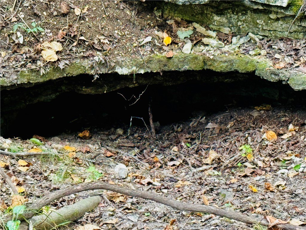 Picture 10