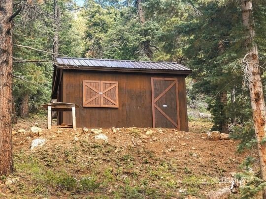 Picture 6