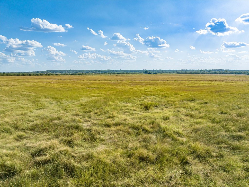 Picture 24