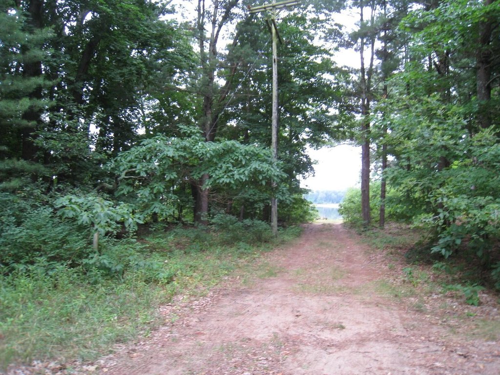 Picture 4