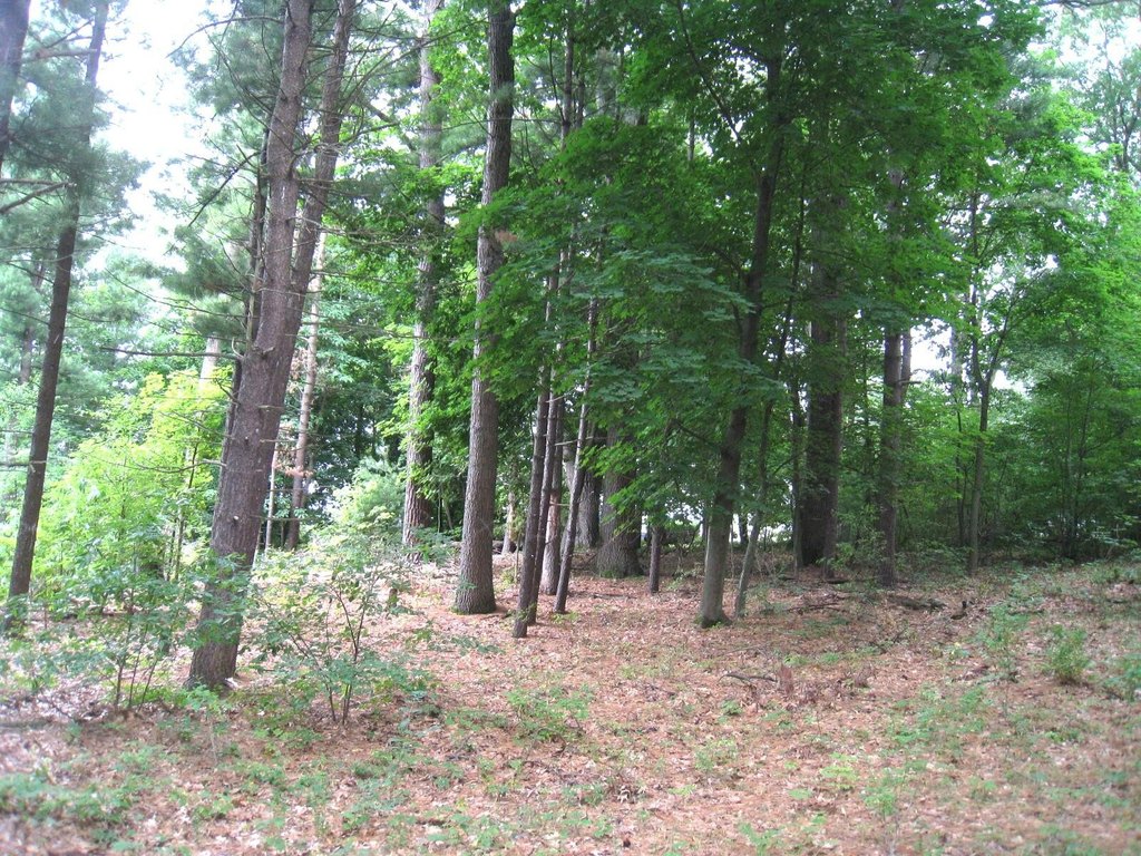 Picture 6