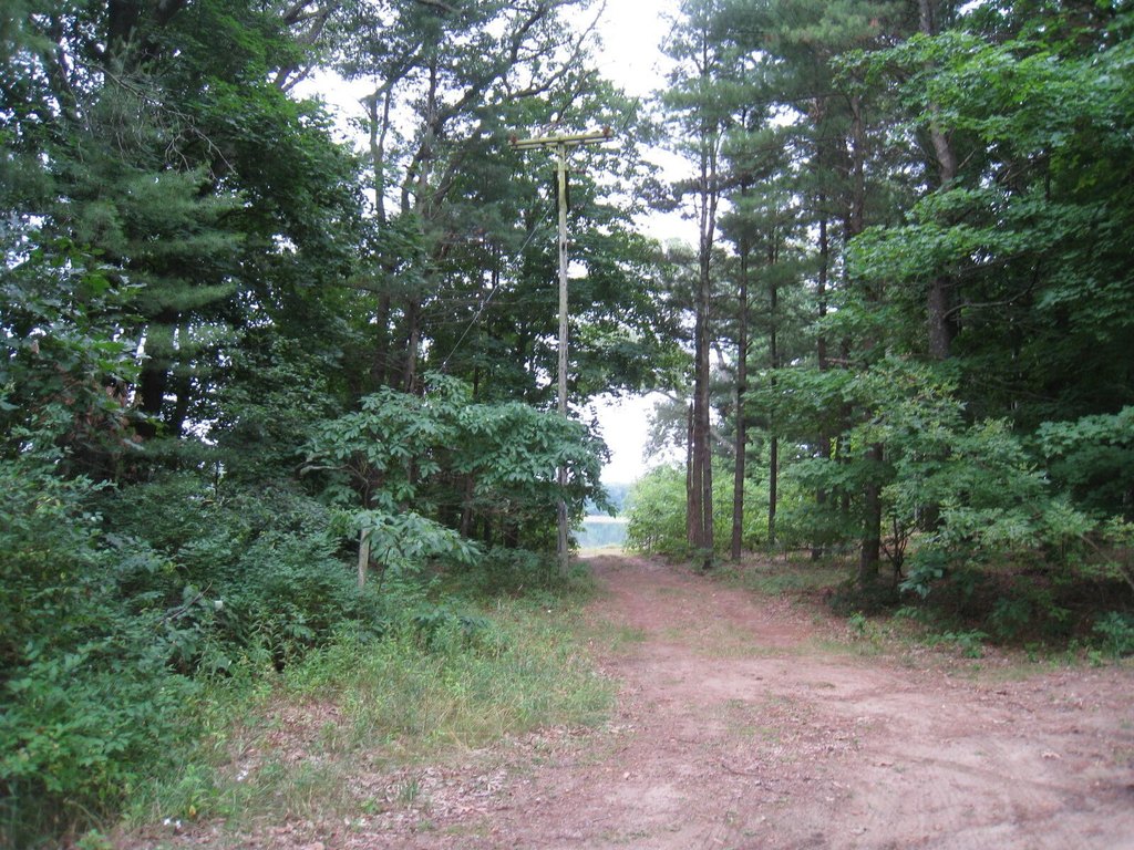 Picture 3