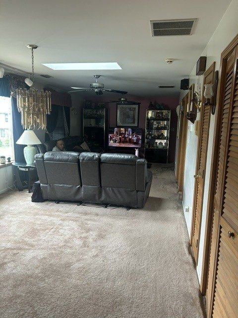 Picture 24