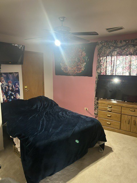 Picture 28