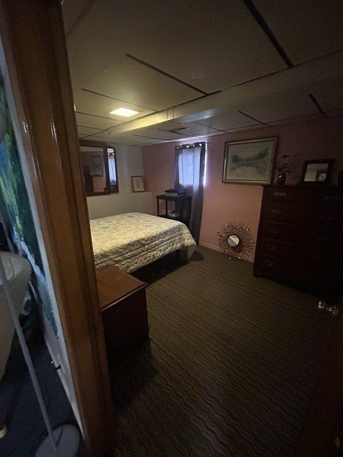 Picture 44