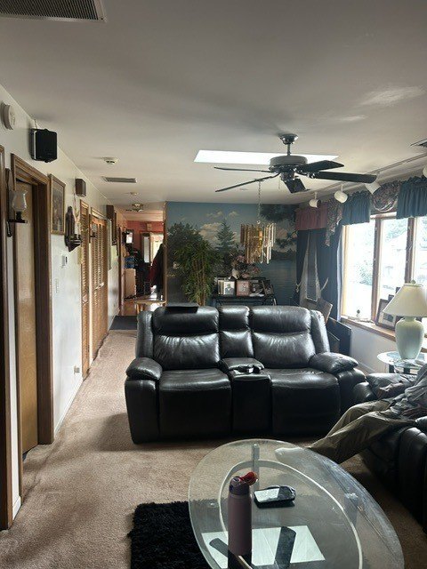 Picture 25