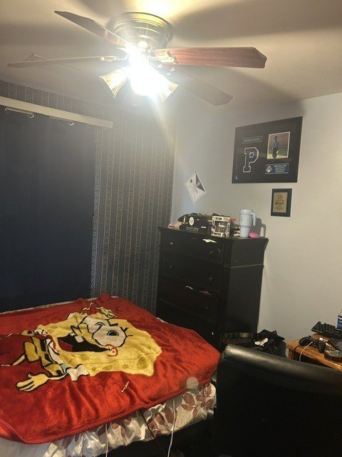 Picture 27