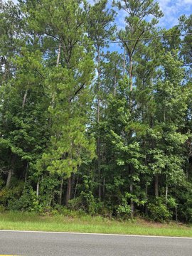 LAND - Bristol, FL