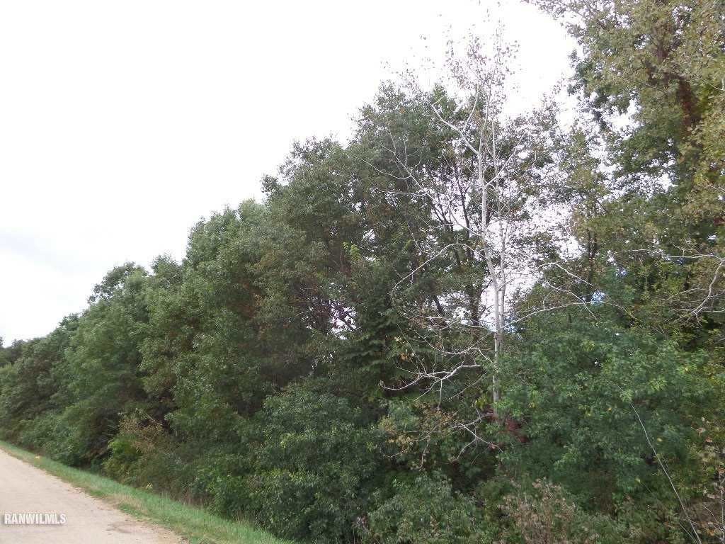 Picture 3