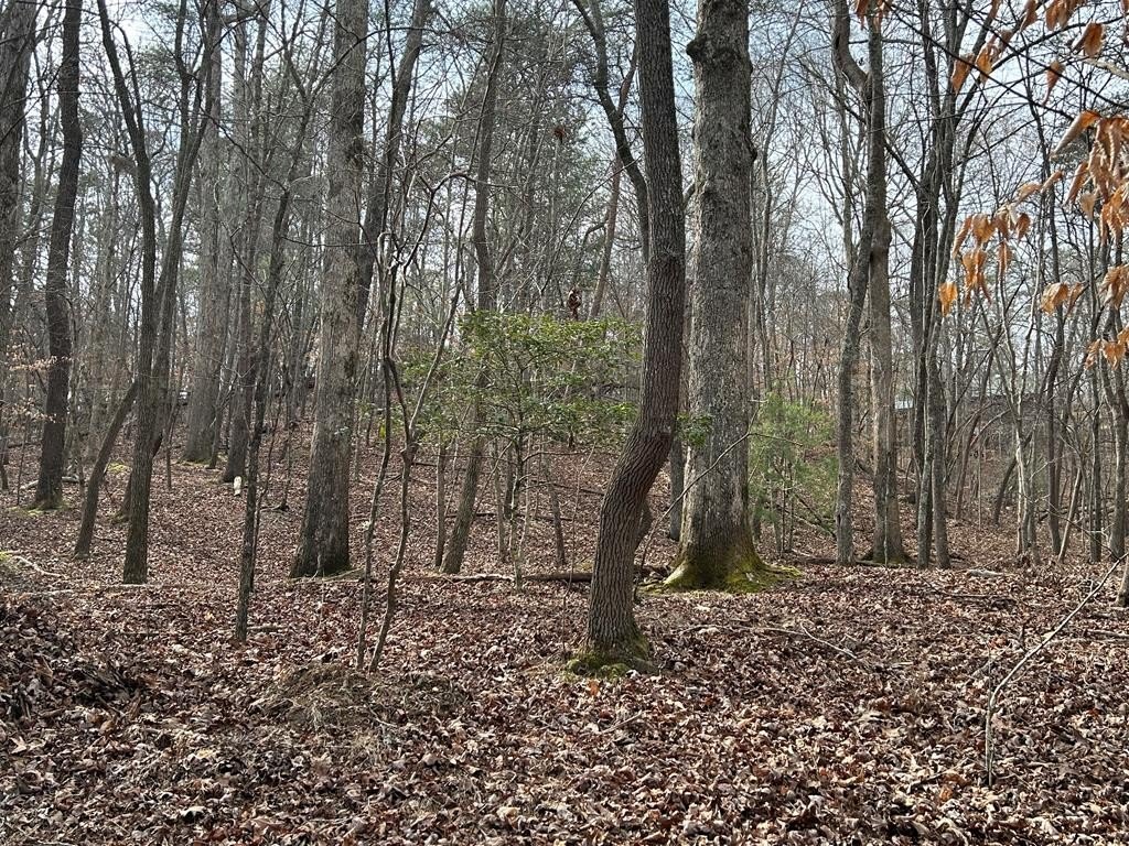 Picture 7