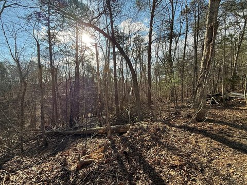 Ellijay, GA Vacant Land