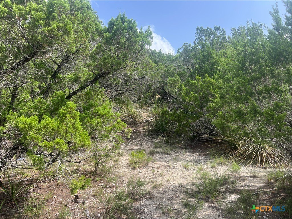 Picture 7