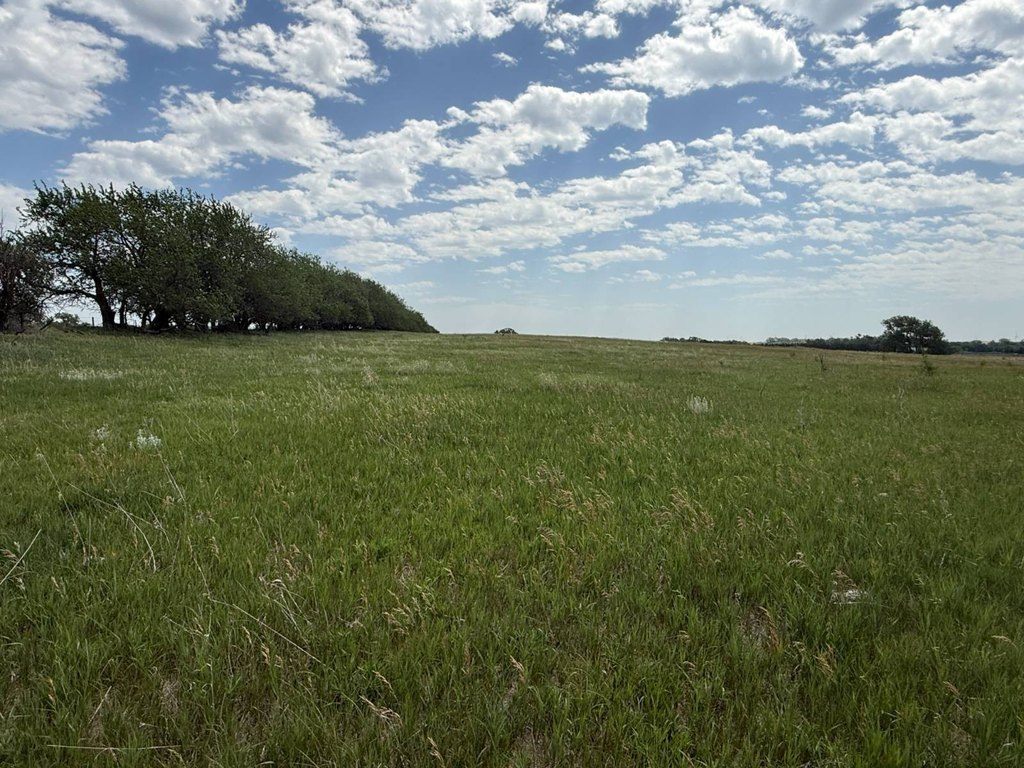 Picture 39