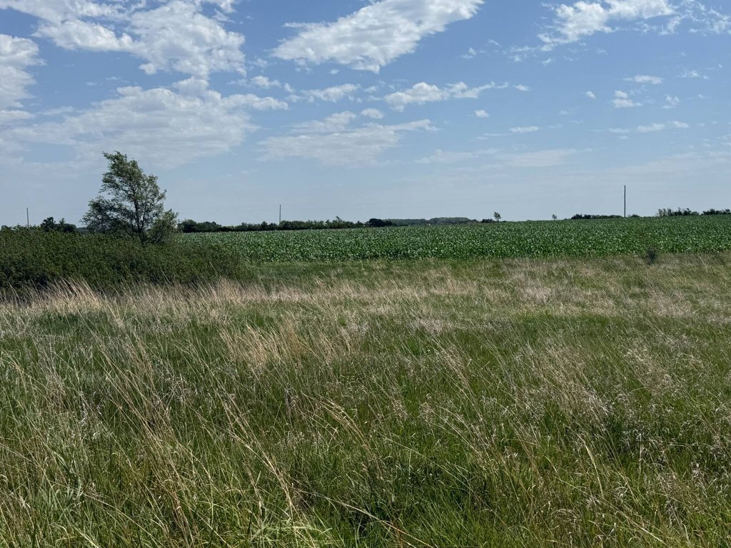 Picture 22