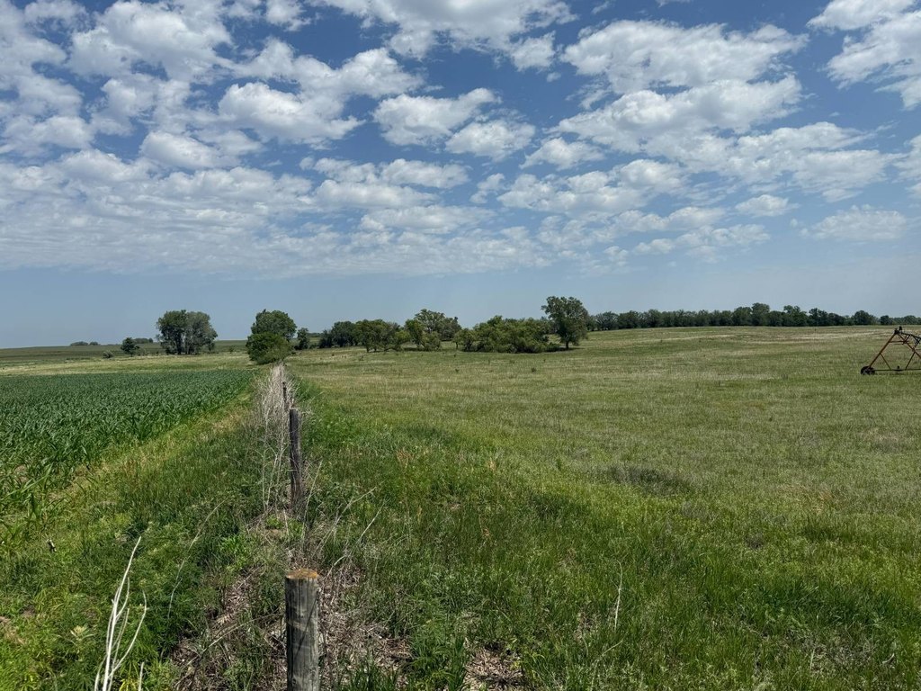 Picture 31