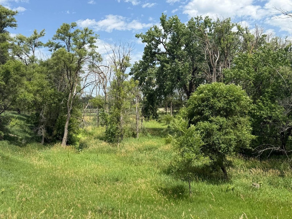 Picture 41