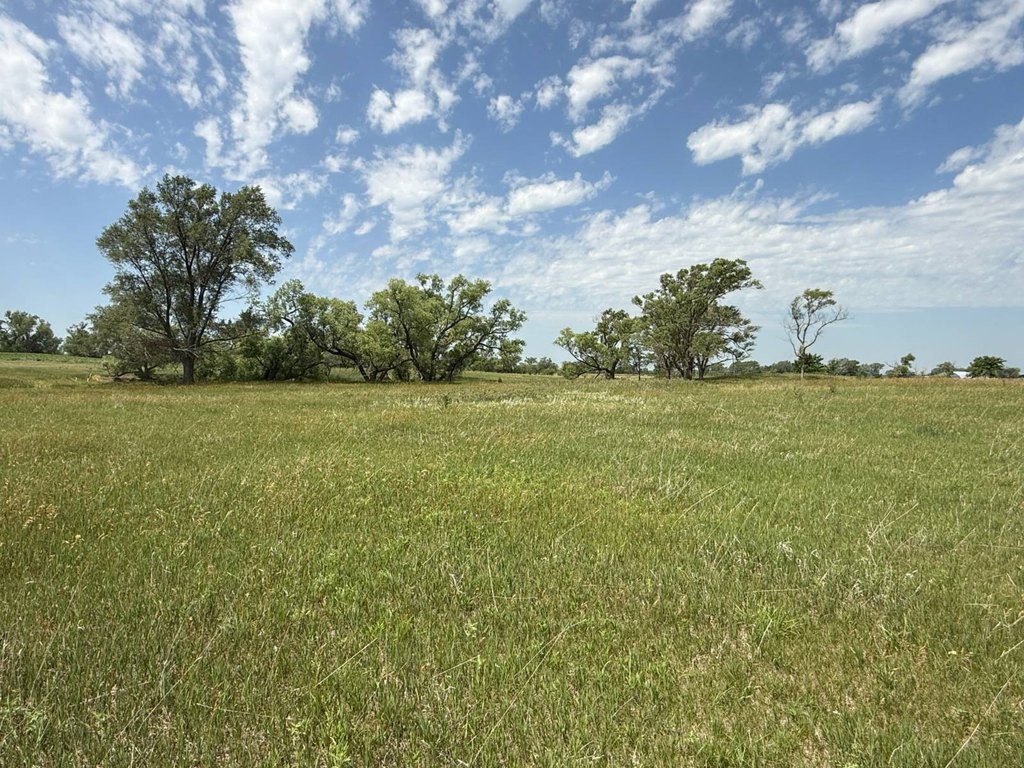 Picture 36