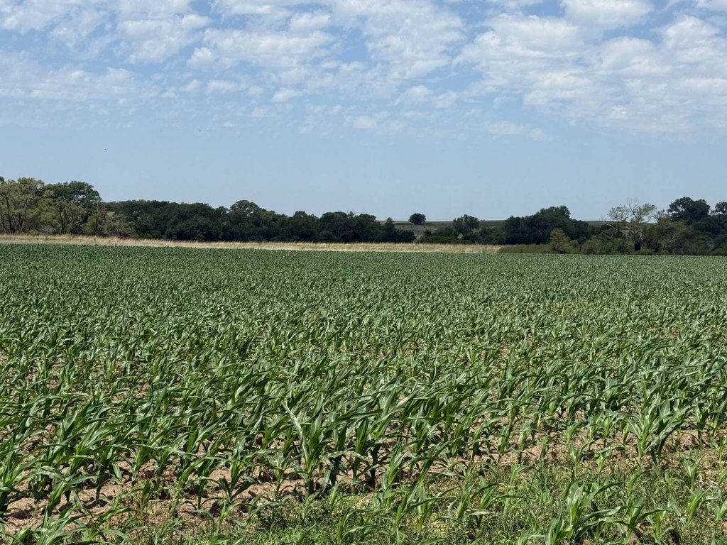 Picture 28