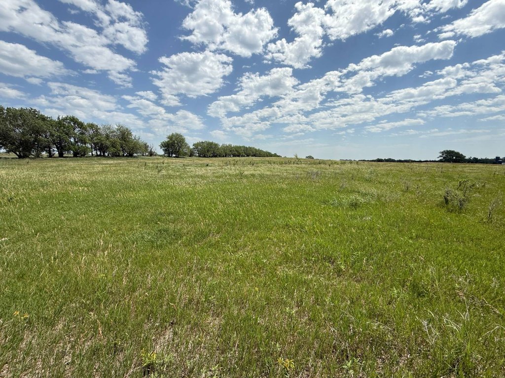 Picture 38