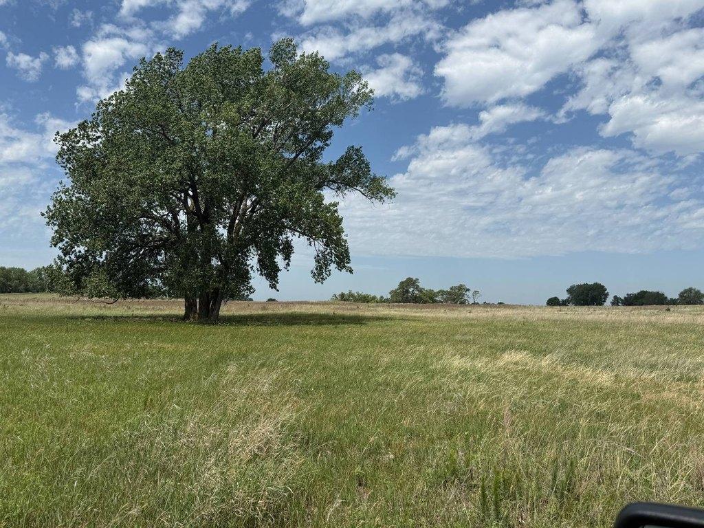 Picture 34
