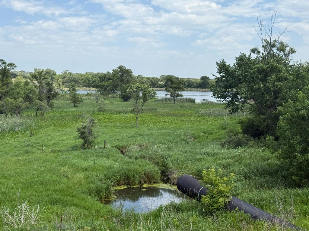 Picture 11