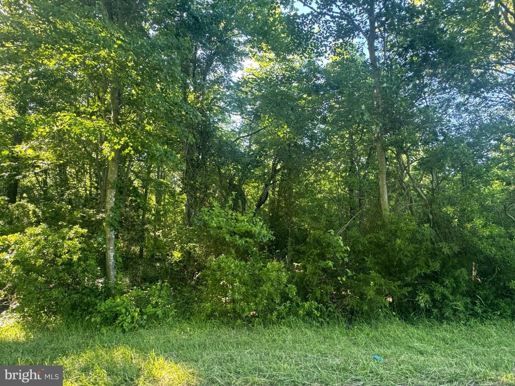 Picture 3