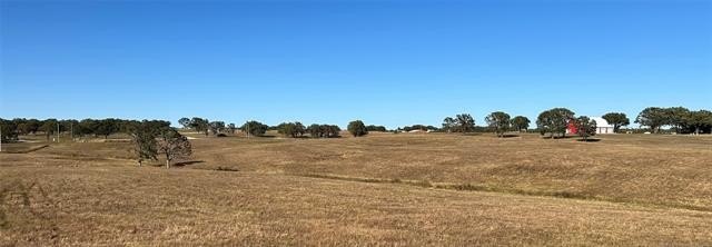 Picture 16