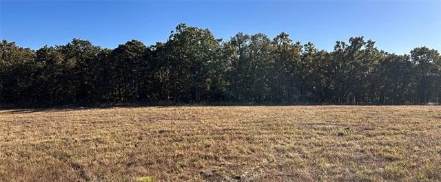 Picture 18