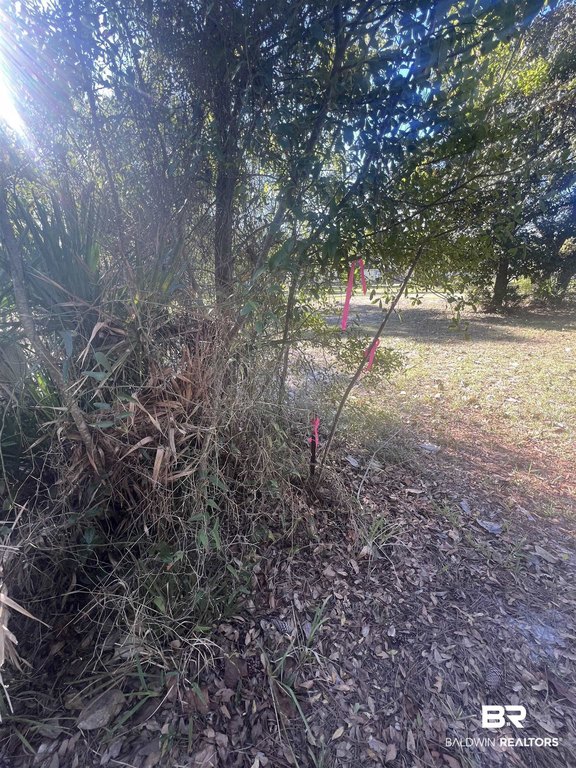 Picture 11