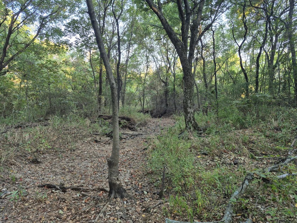Picture 4