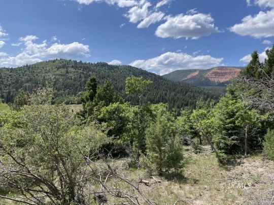 Residential Lot with Mountain Views
