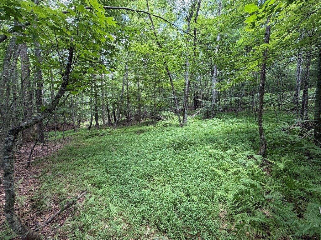 Picture 7