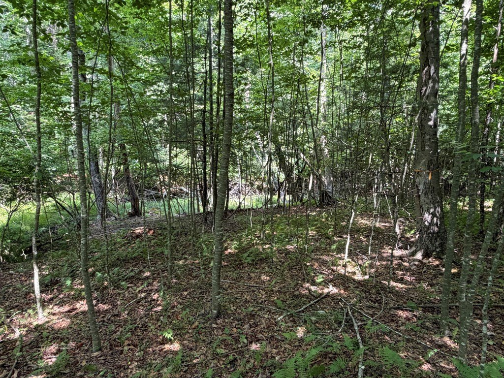 Picture 19