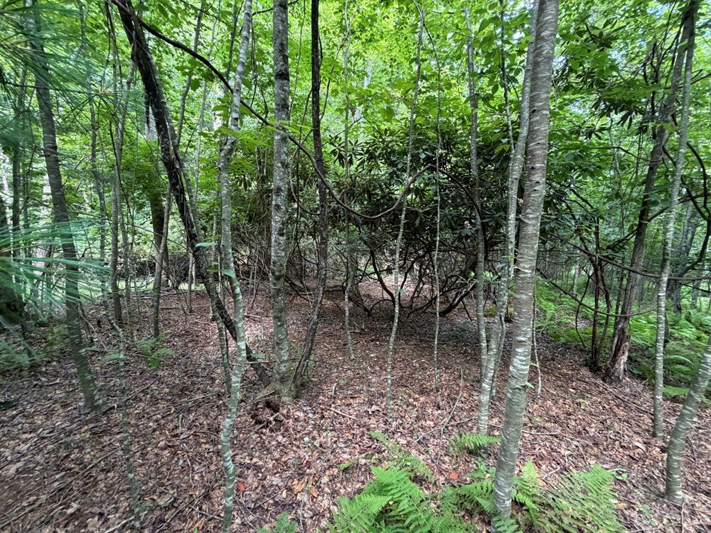 Picture 16