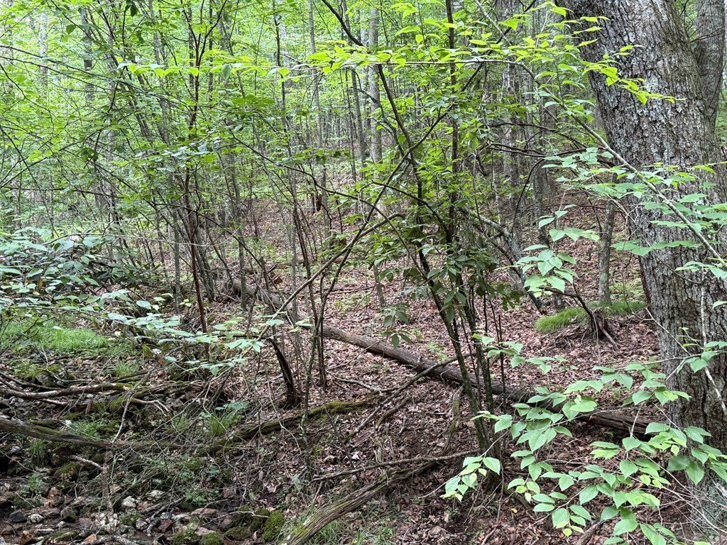 Picture 13