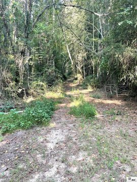 LAND - Chatham, LA
