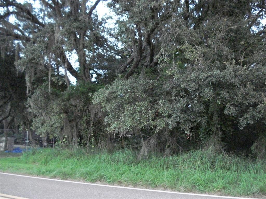 Picture 2