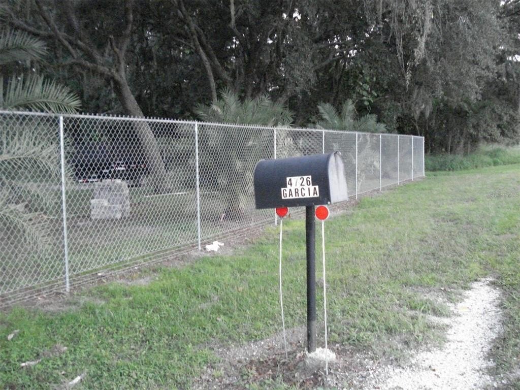 Picture 5