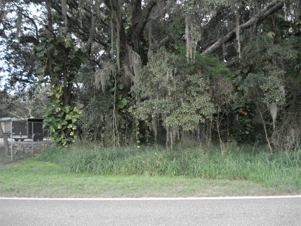 Picture 6