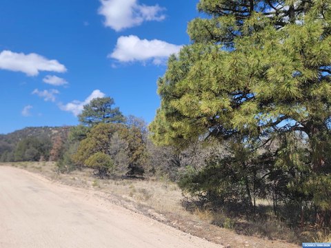 LAND - Silver City, NM