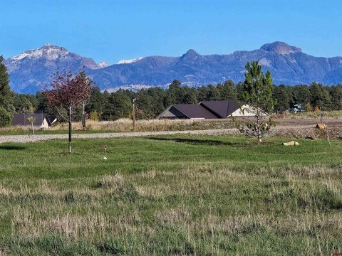 Level Mountain-View Residential Lot